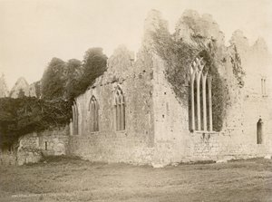 Abbazia di Askeaton da Robert French